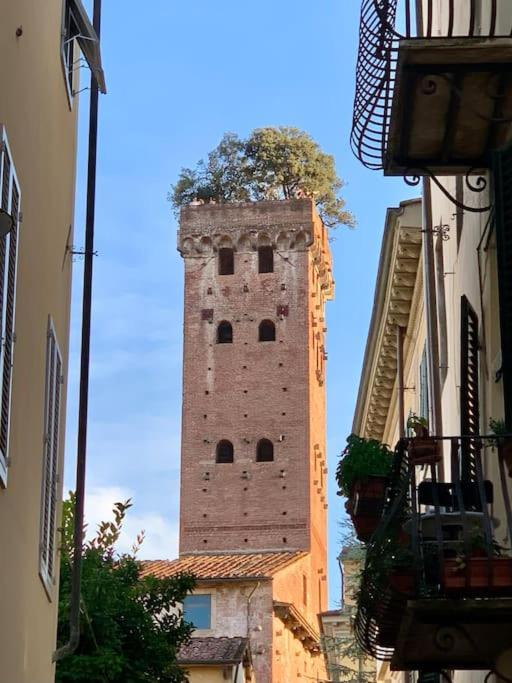 Via Nuova Apartments Lucca Eksteriør bilde