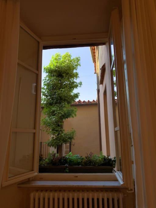 Via Nuova Apartments Lucca Eksteriør bilde